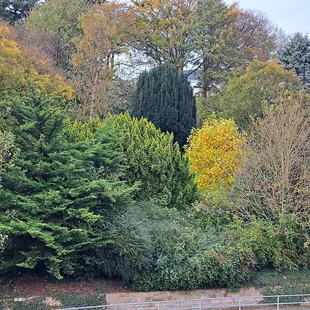 Rylstone Mere 招待所